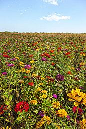 社畜游戏《dev_hell》上架Steam：在黑心企业写程序